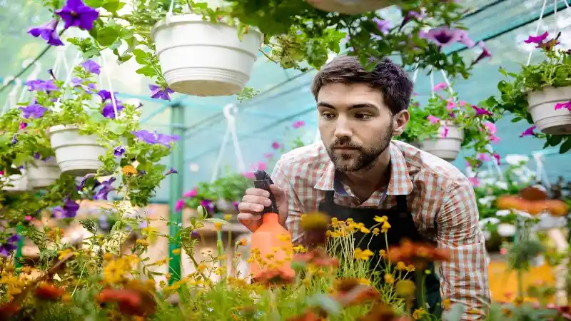 5 of Britain’s Biggest Garden Regrets